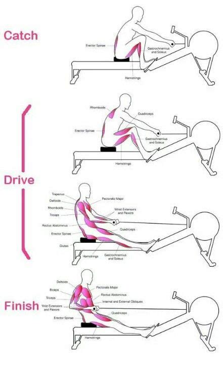 Correct Rowing Machine Technique Scot Meek