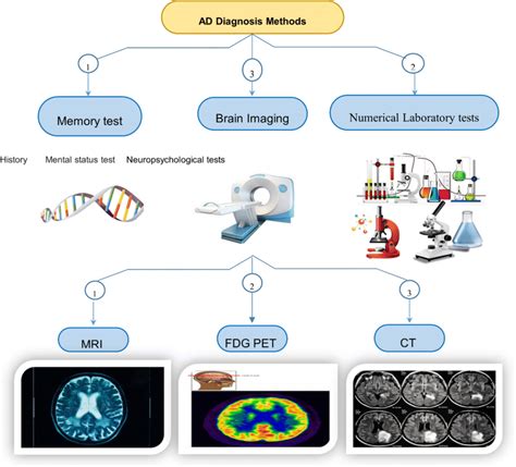 Different Imaging Techniques For Ad Diagnosis Download Scientific Diagram