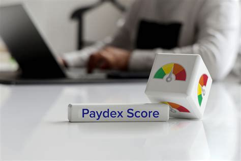 Your Ultimate Guide To Know About Paydex Score
