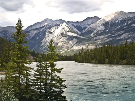 Saskatchewan River Banff National Park Canada Stock Image Image Of