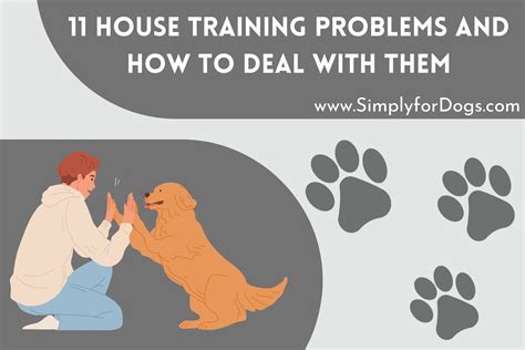 House Training Dog Tips And Tricks Simply For Dogs