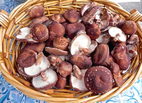 Herbed Shiitake Mushrooms The Good Eats Company