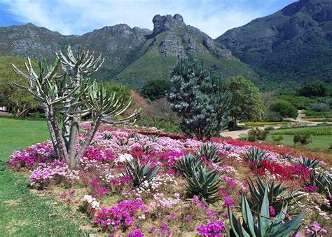 Best Time To Visit South Africa Climate Guide Audley Travel