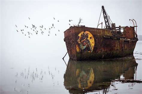 Hd Wallpaper Ship Water Birds Outdoors Wreck Old Rust Shipwreck