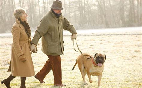 Dog Walking Linked To Better Physical Health For Seniors Health