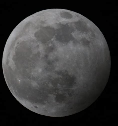 Guarda Che Luna Ecco La Prima Eclissi Del 2020 Foto Lavocedialbait