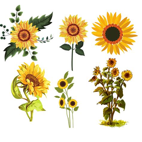 Sunflower Svg Bundle Sunflower Svg Flower Svg Monogram Svg Etsy