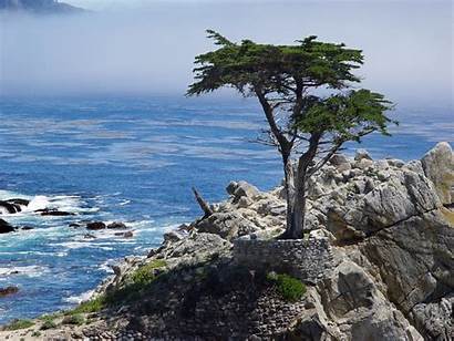 Mile Drive California Cypress Sur Coast Monterey