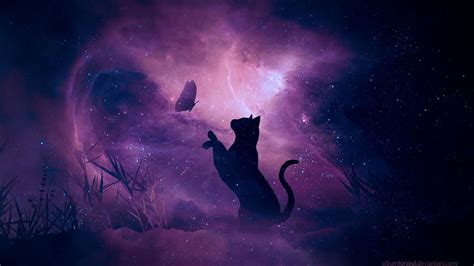 Purple Cat Wallpapers Wallpaper Cave