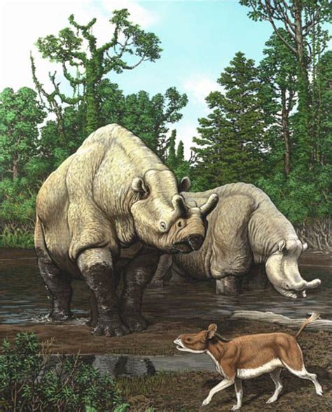 Eocene Epoch Animals Scene From The Late Eocene Of North America The