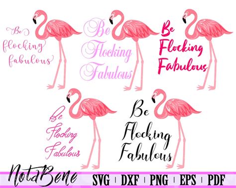 Be Flocking Fabulous Svg Pink Flamingo Printable Flamingo Art Etsy