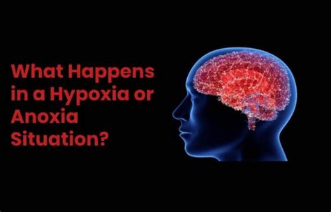 Anoxia Or Lack Of Oxygen In A Tissue Health4fitness 2020