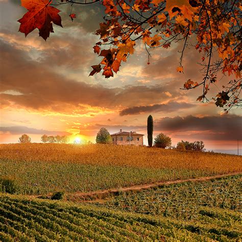 Images Tuscany Italy Autumn Nature Fields Sunrises And Sunsets
