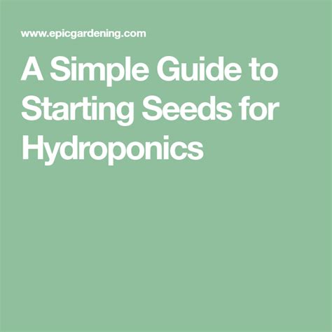A Simple Guide To Starting Seeds For Hydroponics Hydroponics Seed