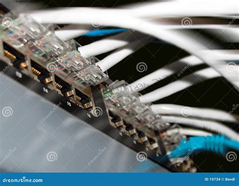 Cat 5 Connectors Stock Photo Image Of Connections Corporate 19734