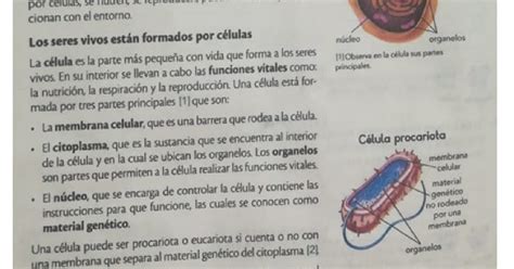 Tema3 Ciencias Naturales La CÉlula