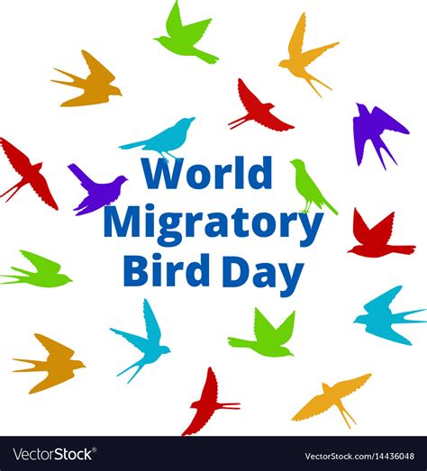 World Migratory Bird Day Royalty Free Vector Image