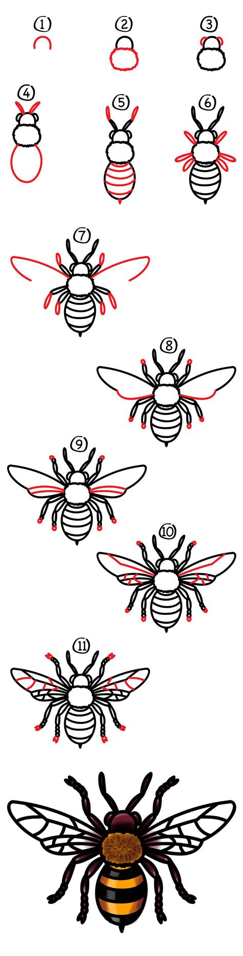 How To Draw A Realistic Bee Art For Kids Hub