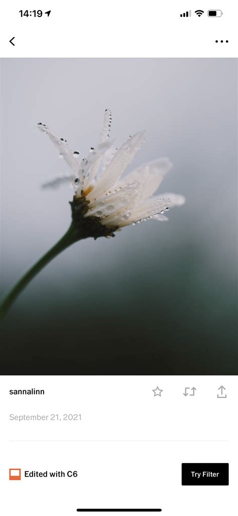 Vsco Profile Picture Enlarger - Vsco For Pc Download And Run On Pc Or