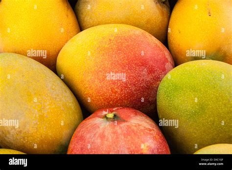 Peruvian Mango Hi Res Stock Photography And Images Alamy