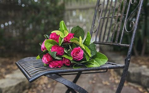 Beautiful Flowers Wrought Iron Bench Roses Pink Roses Cowan Shop