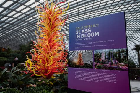 Perfect For The ‘gram And The Soul See Dale Chihuly Glass In Bloom