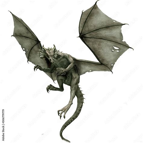 Gray Dragon Flying Dragon Fantasy Animal Mythological Creature Stock