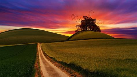Landscape Photography Green Hill Field Crops Agriculture Farm
