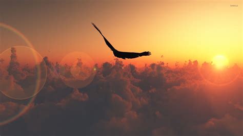 Sun Rising And Birds Wallpapers Wallpaper Cave