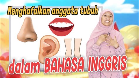 Lagu Anggota Tubuh Dalam Bahasa Inggris Part Of Body Song Youtube