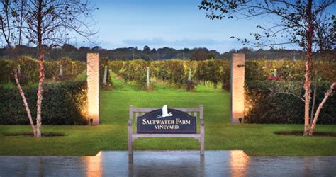 Saltwater Farm Vineyard This Love Story Ink Publications