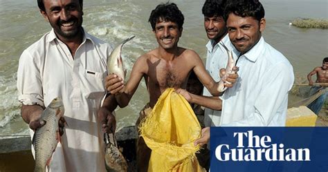 Pakistan Floods The Displaced And The Saved Environment The Guardian