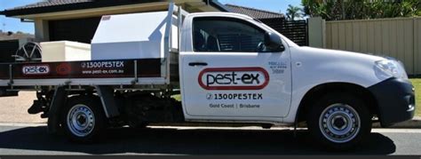 If you're searching for a local pest control company that can do it all, look no further than pestex services we offer a variety of pest services, including: Pest Control Sunnybank | Pest Ex