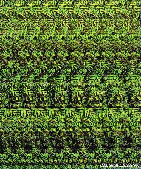 Magic Eye Photo Magic Eyes Photos Of Eyes Magic Eye Pictures Magic