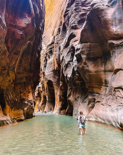 Hiking The Zion Narrows Everything You Need To Know