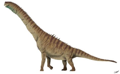 Brachiosaurus Altithorax 20 By Sphenaphinae On Deviantart