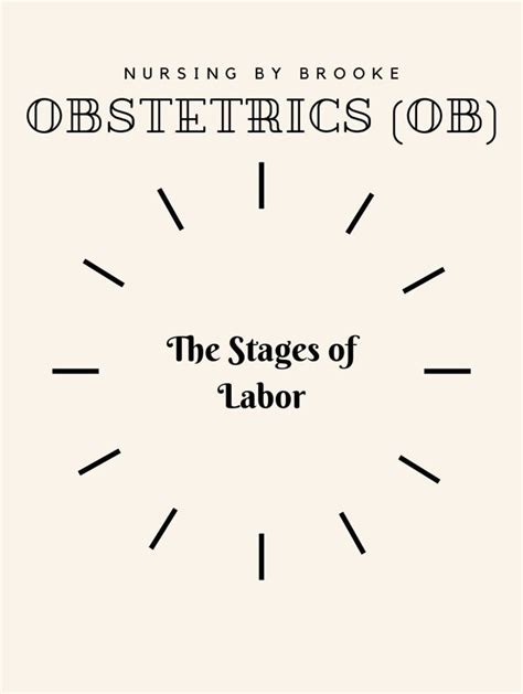 Stages Of Labor Nursing Notes Etsy
