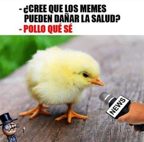 Pin De Elaine Bolaños En Memes Memes Divertidos Memes Meme Gracioso