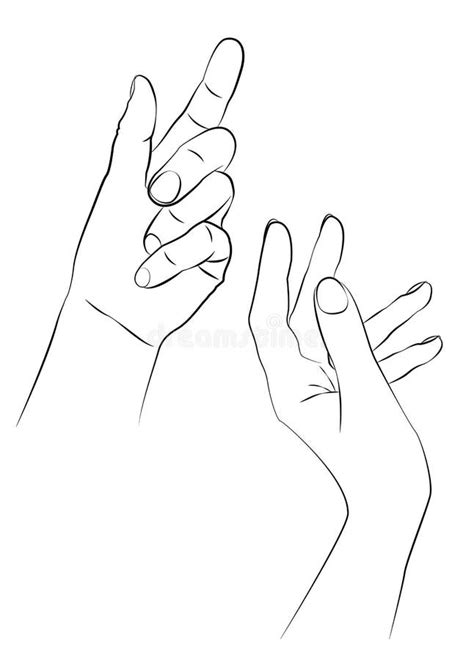 Womans Hands Different Positions Stock Illustrations 7 Womans Hands