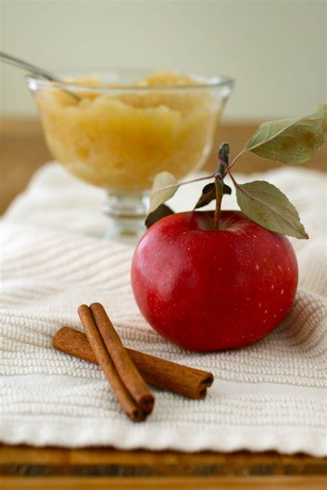 Homemade Applesauce Annie Flickr