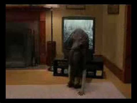 Free watching scary movie 3, download scary movie 3, watch. scary movie 3 epic fight scene brenda vs the ring - YouTube