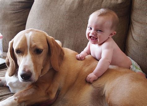 Here Is Why Kids Need Their Best Pet Friends They Look Adorable Together