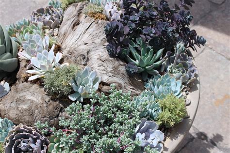 As every flower lover knows, flowers have a language of their own. Let our designers create a beautiful French Garden just ...
