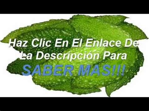 La diabetes es una efermedad de cuidado que no tiene cura. REMEDIOS Y PLANTAS MEDICINALES PARA CURAR LA DIABETES - YouTube