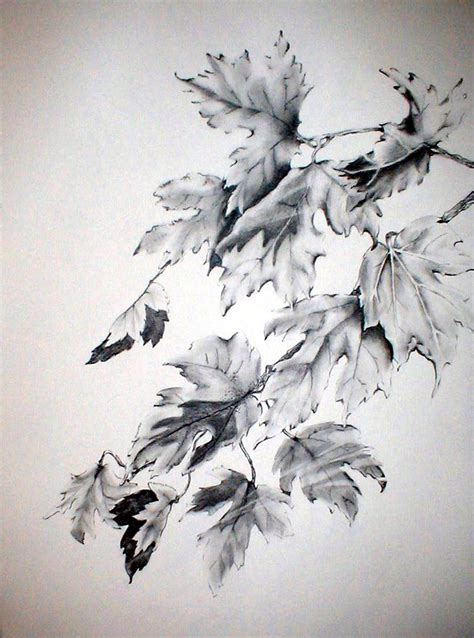 Pin By Ruthann Griffin On My Watercolors Tree Drawings Pencil Fall