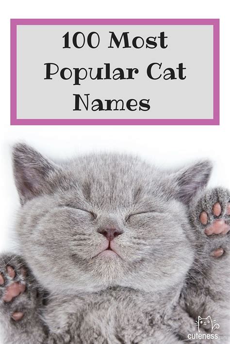 Including black, white, cool & funny names for female cats. The top 100 cat names are here! Click through to see what ...