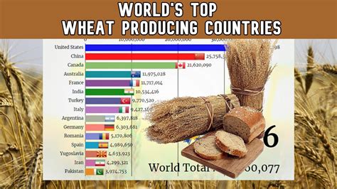 Top 15 Wheat Producing Countries In The World Youtube