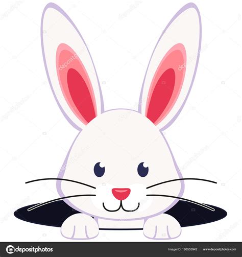 Colorful Cartoon Rabbit Face Hole Icon Stock Vector Image By ©bessyana