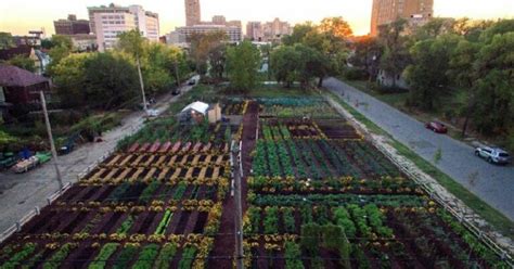 This Area In Detroit Is Now Americas First 100 Organic Self