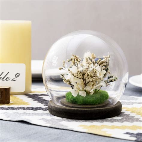 Buy Myt 6 Inch Clear Glass Terrarium And Keepsake Display Globe Cloche With Rustic Gray Wood